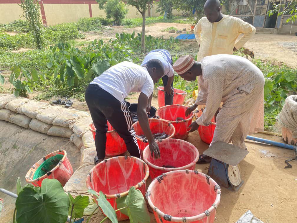 WhatsApp Image 2025 11 10 at 2.32.52 PM