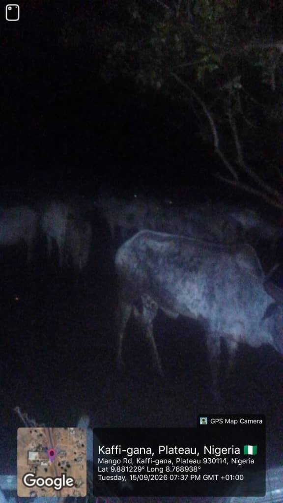 Troops recover 40 cows after alleged destruction of…