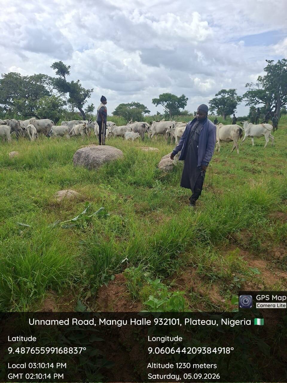 Troops recover 42 rustled cattle, return them to owner…