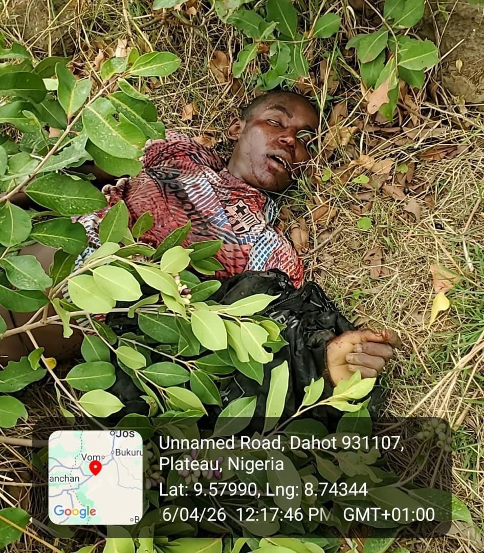 ddefbc59 9ce2 49e4 94ac 01b54cd55fc4