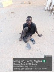 Troops Arrest Suspected Terrorist Collaborator in Borno