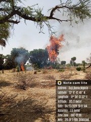 Troops Clear Suspected Terrorist Camp in Borno, Encounter&hellip;