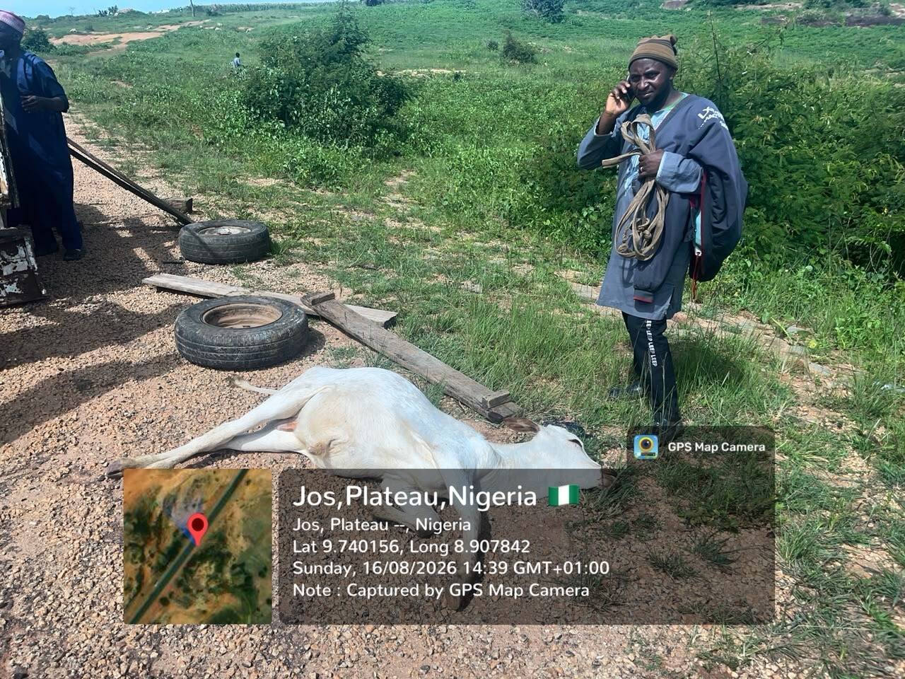 Suspected Berom Militias Attack Herdsmen, Kill Cow…