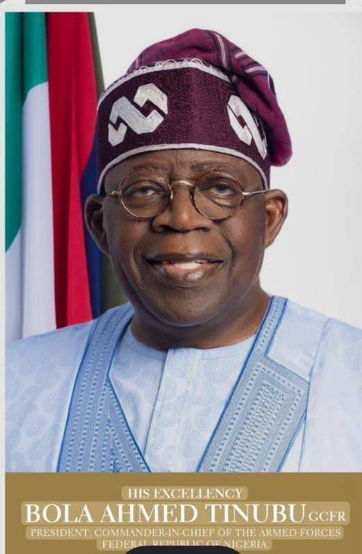 Tinubu orders full investigation into deaths of suspected…