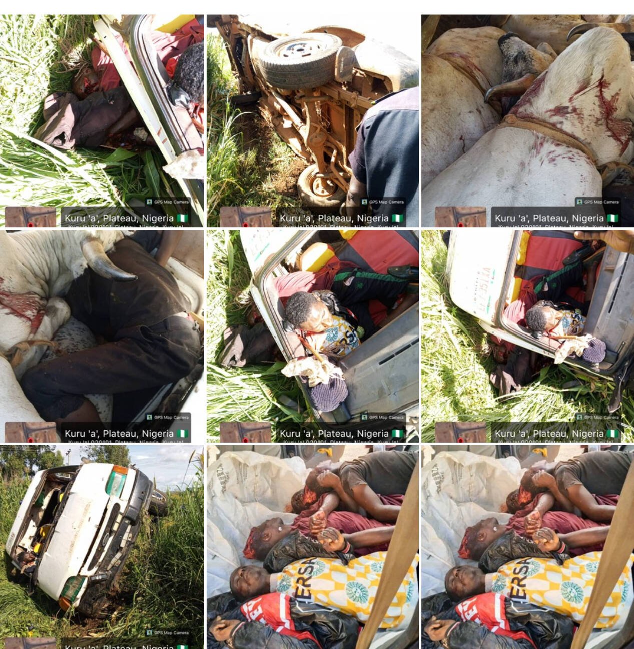 MACBAN condemns alleged killing of five Fulani herders…