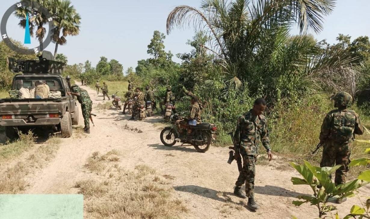 Troops rescue 84 locals, kill terrorist in Niger ambush