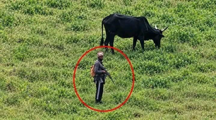 Troops Arrest Three Suspected Herders Over Alleged…
