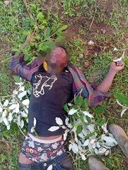 Fulani Bandits kill 2 in Plateau in reprisal to attack&hellip;