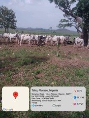 Troops Intervene in Farm Destruction Incident in Plateau