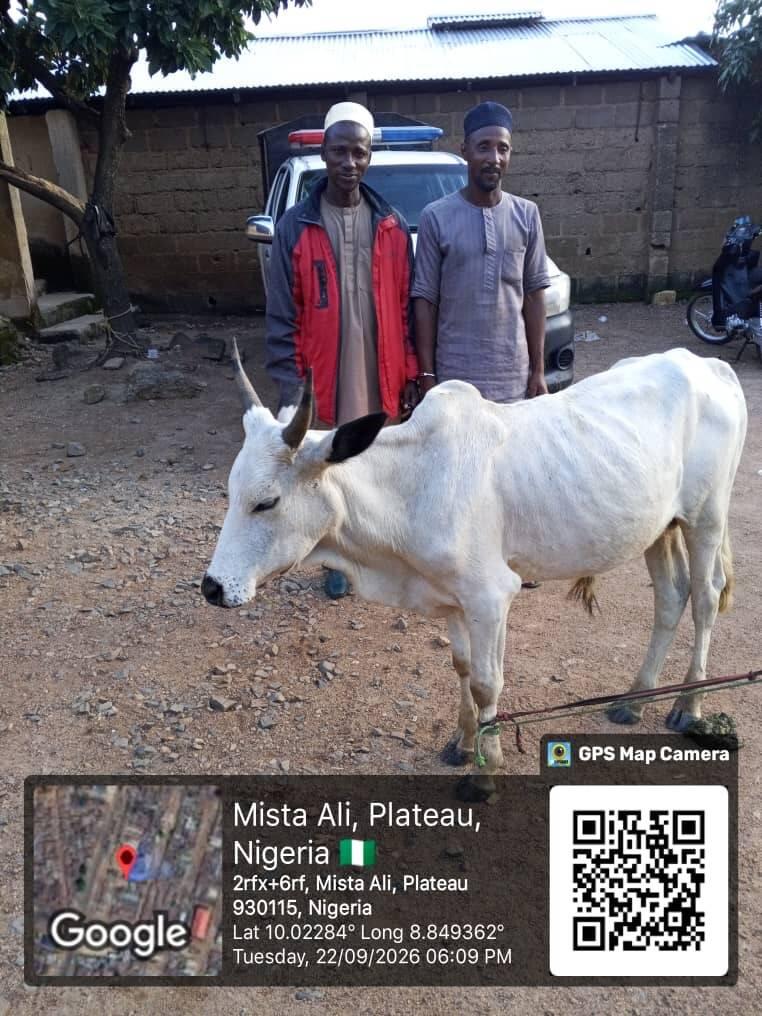Two suspected cattle rustlers arrested with stolen…