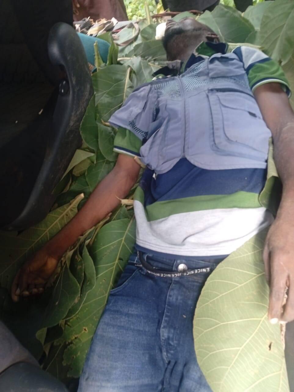Corpse of man discovered in forest in Kaduna