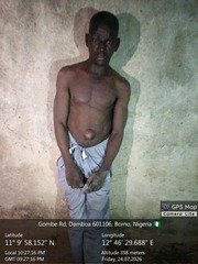 Troops arrest suspected terrorist spy near 25 Brigade headquarters in Damboa