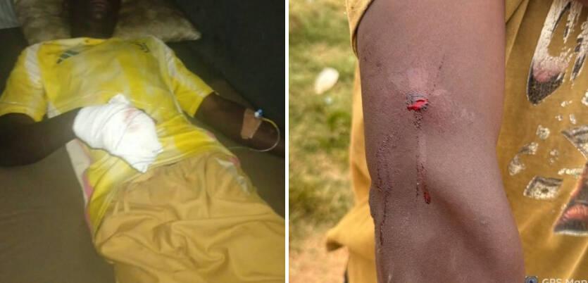 Troops recover 20 cows, 10 sheep after farmer assaulted…