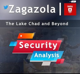 ANALYSIS: Vigilantes embark on unsanctioned mission,…